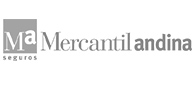 Mercantil Andina
